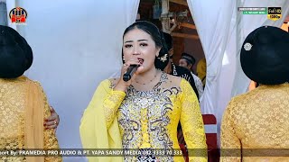 Download lagu TRESNO LARANGAN - LELAMUNAN || VOC. WILIS KRISTINA - PT. YAPA SANDY MEDIA KONDANGNYA TAYUB INDONESIA mp3