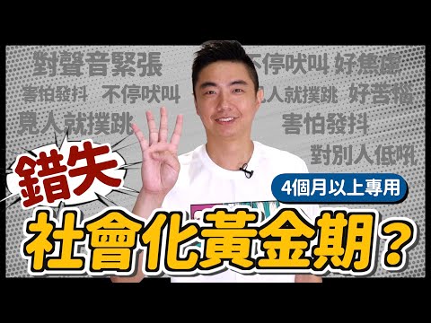 狗狗社會化