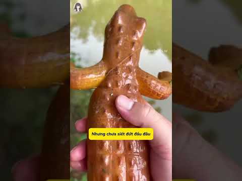Mọi người cứ bảo thả ở đây sẽ bị bắt mấtLàm tui phải chạy ra coi thử liền#dochoi #giaitri #viral