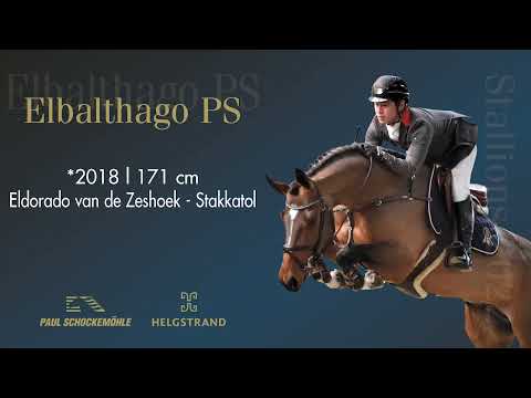 Elbalthago PS - Jumping Collection Schockemoehle & Helgstrand 2022 (ENG)