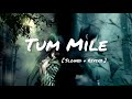 Tum Mile Slowed Reverb Javed Ali Tum Mile Lofi Tum Mile Lyrics Video Diary Of Heart