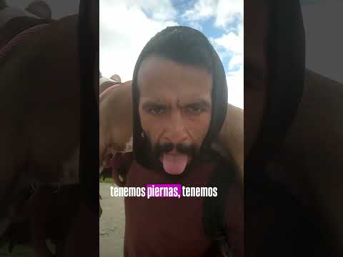 Cargué a Mi Perra Coja 11 km Hasta Cumbal Sin un Peso 🇨🇴🐕 | Nariño, Colombia