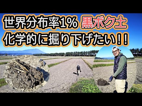 アロフェンについて詳しく解説