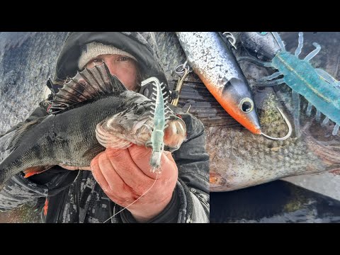 AHVENEN PILKINTÄÄ KIRKKAISSA VESISSÄ