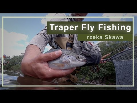 Wędkarstwo Muchowe Trapera - rzeka Skawa. Traper Fly Fishing Poland. Olbrzymie pstrągi ze Skawy.