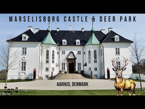 Aarhus Deer Park | Marselisborg Castle | Infinity Bridge | Aarhus Series | EP 3