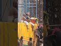 Sri Padmavathi Ammavari Saree Panchami Thirtham Tirupati Thiruchanoor