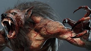 The Witcher 3 : Werewolf Kill - Still a better love story than Twilight ( Wild at Heart Quest )