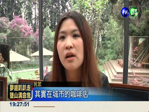 溪頭森林咖啡屋 享受芬多精洗禮