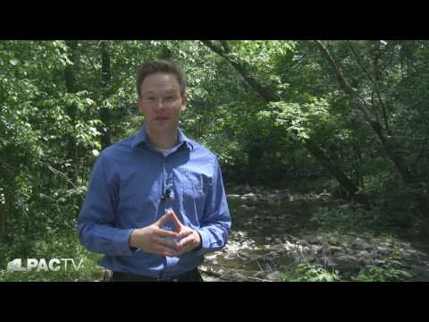 Leibniz's Dynamics and Vis Viva: An Introduction