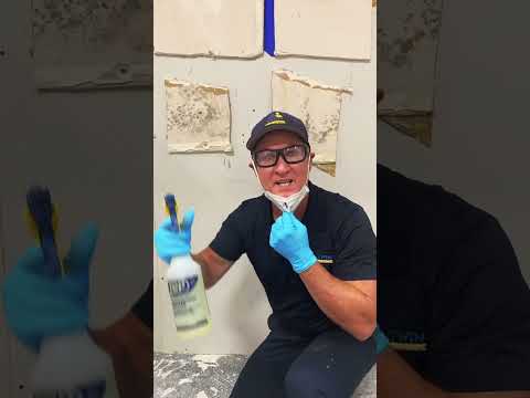 The BEST black mold removal Agent
