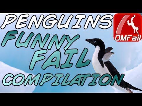 PENGUINS BEST FUNNY FAILS COMPILATION | Fails de pingüinos