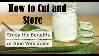 How to Cut and Store Aloe Vera and Benefits || Everybody should know about this