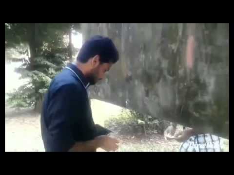 happy birthday swarna