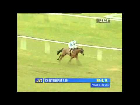 2010 Triumph Hurdle, Cheltenham Festival