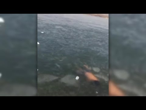 Man gets stuck under ice in lake - friends act in an exemplary manner