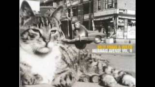 Feed of Man - Billy Bragg and Wilco