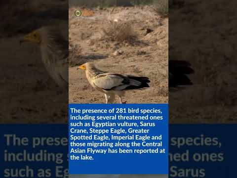 Najafgarh Jheel  | JETbee Global Academy | Vijayanagar