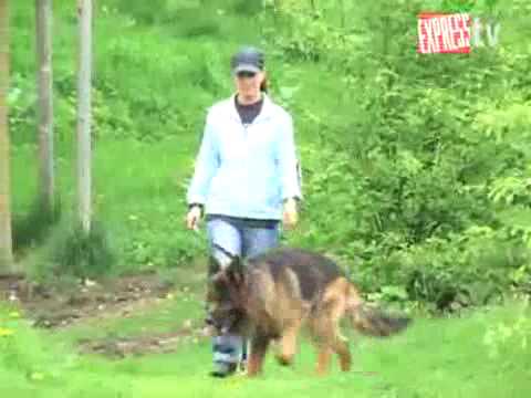 pascha 090430 expresstv 07 05 2009