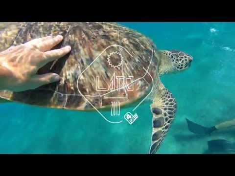 Glassesboys feat. Stephen Pickup - Your Love (4 Fun TV - Summer ID Station)