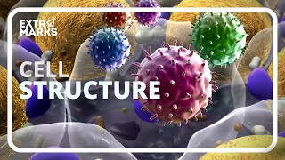CBSE Biology Class 8 Study Material on the Extramarks App
