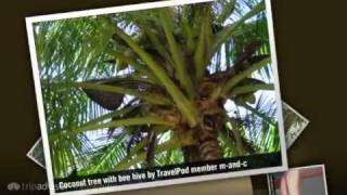 preview picture of video 'Andaman Islands M-and-c's photos around Port Blair, India (andaman islands lonely planet)'