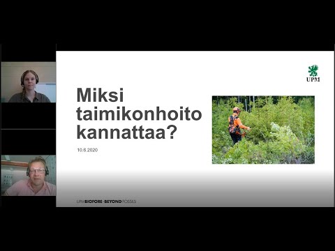 Miksi taimikonhoito kannattaa - UPM Metsä