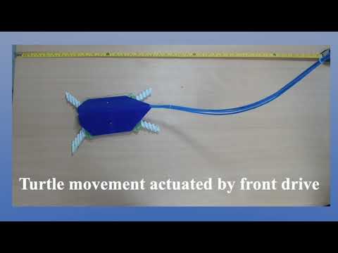 Modelling and Implementation of Soft Bio-Mimetic Turtle Using Echo State Network.