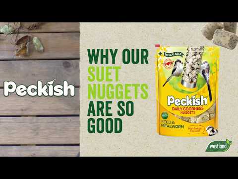 Peckish Extra Goodness Nugget Feeder in pack Video