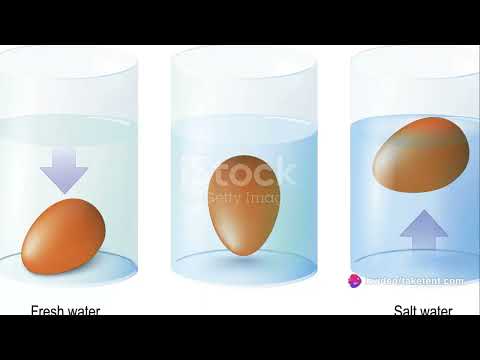 The Egg Float Test: An Eggcellent Way to Determine Freshness