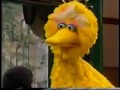 Sesame Street Gina Carlo Have New Jobs New HD