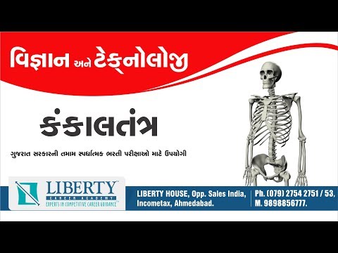 કંકાલતંત્ર