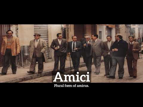 What are Amici? | How Do Amici Look? | How to Say Amici in English?