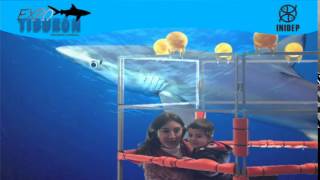 DIA 2 Expo Tiburon160