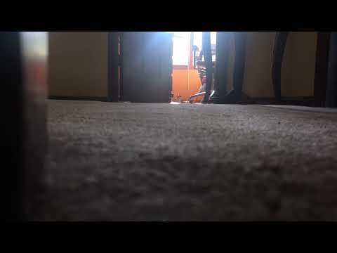 My dad playing Golden Lady by Stevie Wonder from another room on a sunny Sunday morning; nostalgic