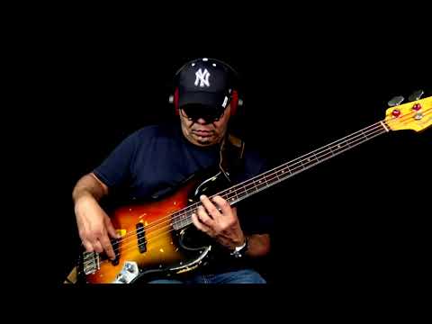 Bireli Lagrene - Sunny (Fretless Bass Jazz Solo)