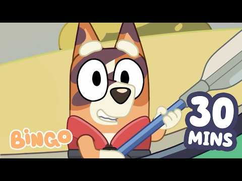 Bingo LOVES Her Family 🧡 | 30 minutes Of Family Time | Bingo - Official Channel