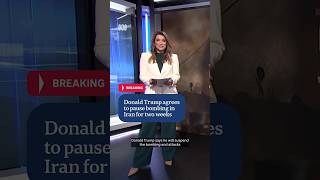 Trump halts Iran bombing campaign for two-week negotiation window