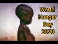 World Hunger Day 2020 28 May International Hunger Day
