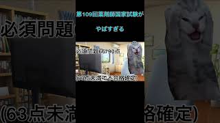 第109回薬剤師国家試験受けたお #猫ミーム #cat #shorts
