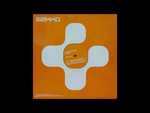 Groovaholic - Nepal [Vinyl 12"] (2001)