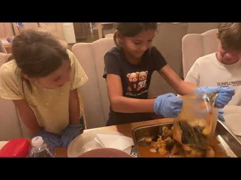 Fructe de mare la munte?! Experiența noastră la Cabana din Poieniță #mayanto