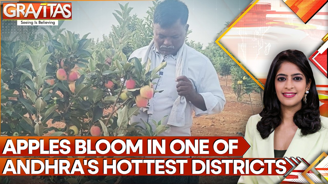 Andhra Farmer Scripts History; Grows Apples in Extreme 45°c Heat | GRAVITAS