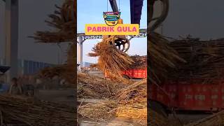 Download lagu SUGAR FACTORY YOU MUST SEE #sugar #sandsugar #sugarfactory #filmin mp3 Download lagu SUGAR FACTORY YOU MUST SEE #sugar #sandsugar #sugarfactory #filmin mp3