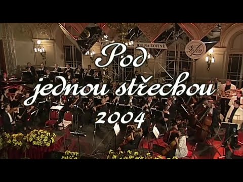 Pod jednou střechou 2004 ❖ Koncert 2004