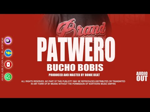 Patwero By Bucho Bobis official Music Audio#love #2025 #dancemusic 