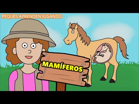 Los mamíferos video para niños   Características de los animales mamíferos  Peques Aprenden Jugando