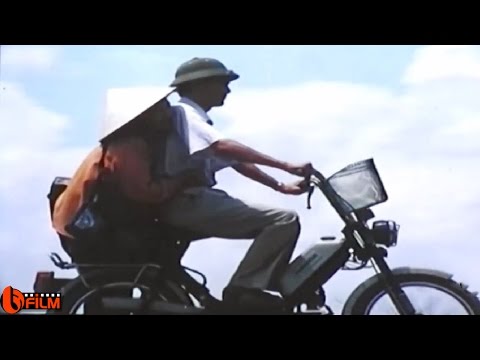 Trưởng Ban Dân Số
