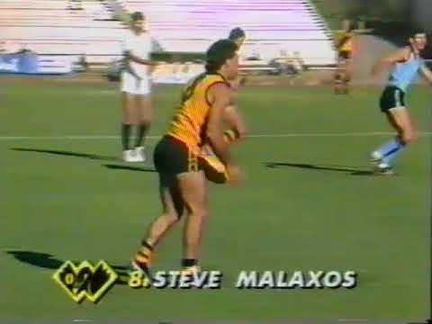 1988 State Game Western Australia Vs New South Wales at Football park  Highlights only