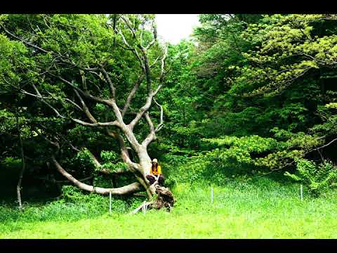 Antiquities (Prod.Tepppei)